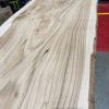 Elm 315