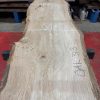 Oak 313