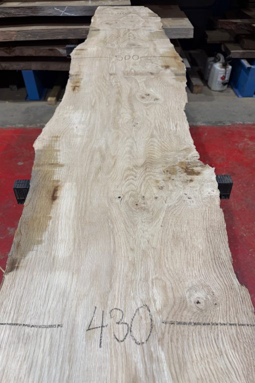 Oak 313