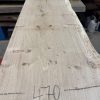 Oak 317