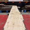 Oak 318