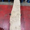 Oak 320