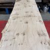 Oak 321