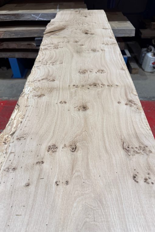 Oak 321