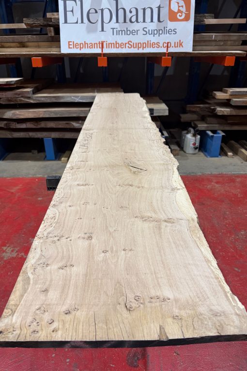 Oak 322