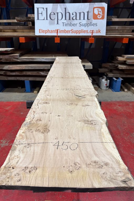 Oak 323