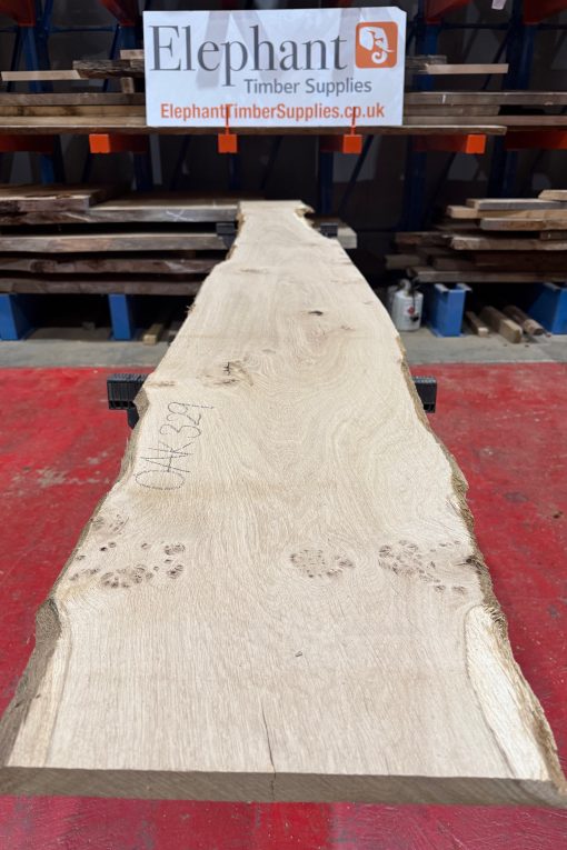 Oak 329