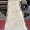 Oak 329
