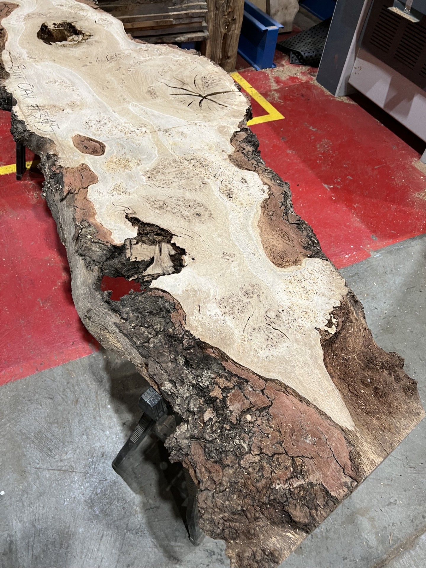 Burr Oak #345