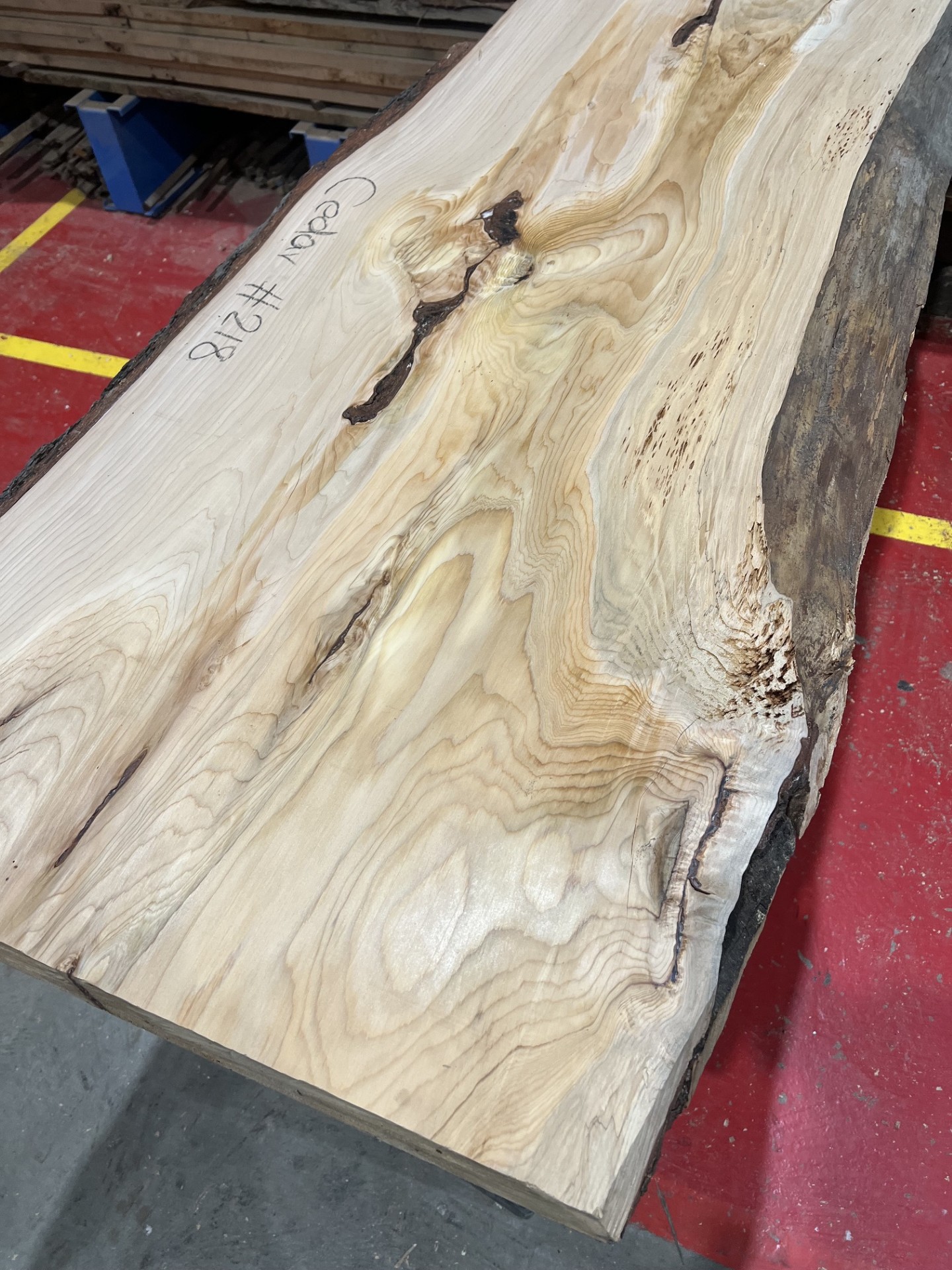 Cedar #218