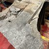 Elm #319