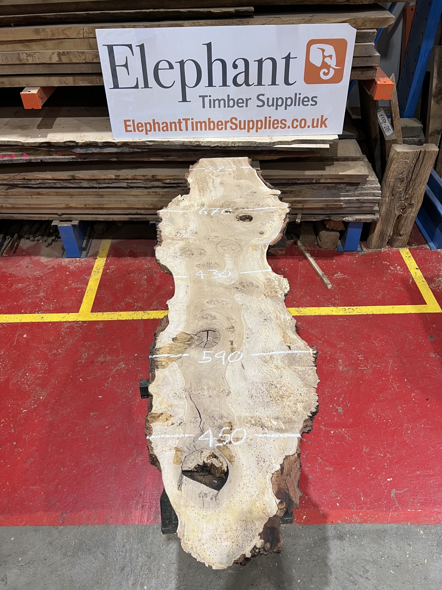 Burr Oak #344