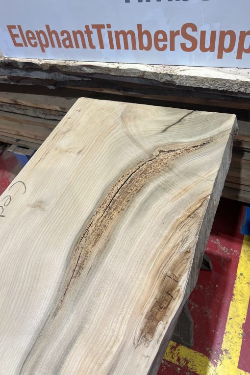 Cedar #216