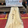 Cedar #218