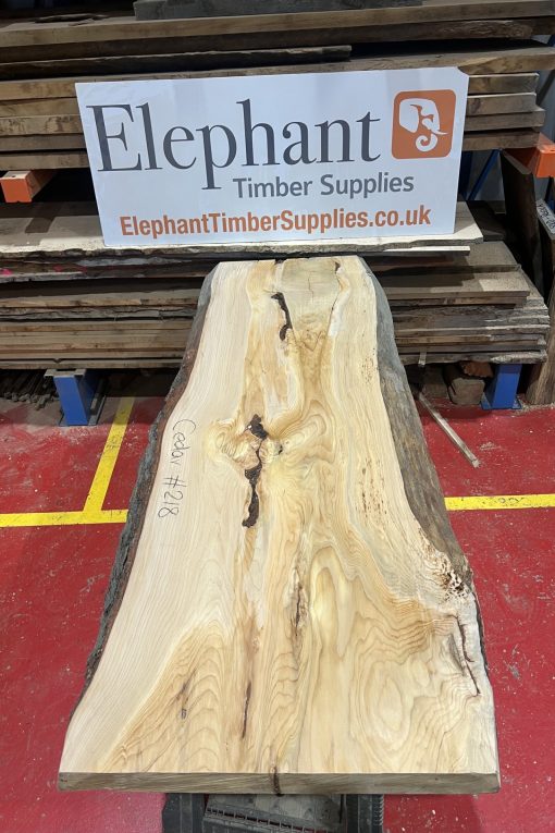 Cedar #218