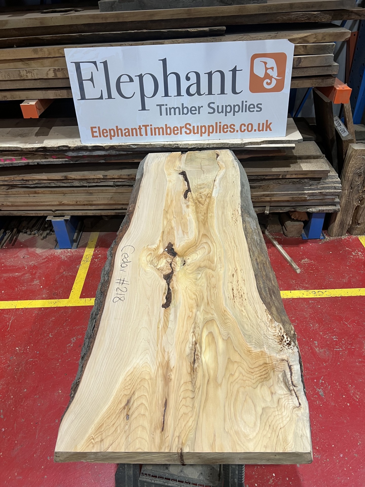 Cedar #218