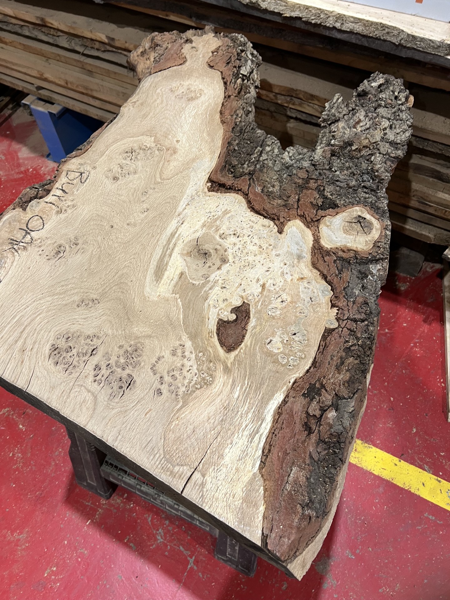 Burr Oak #342