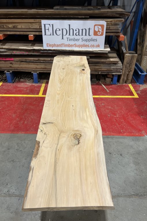Cedar #213