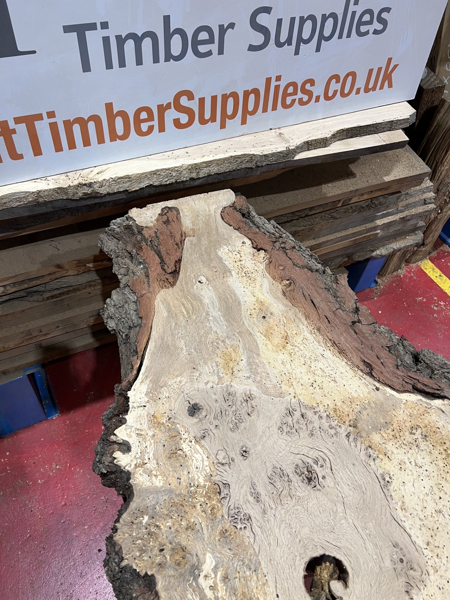 Burr Oak #344