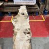 Burr Oak #345