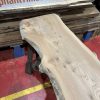 Elm #317