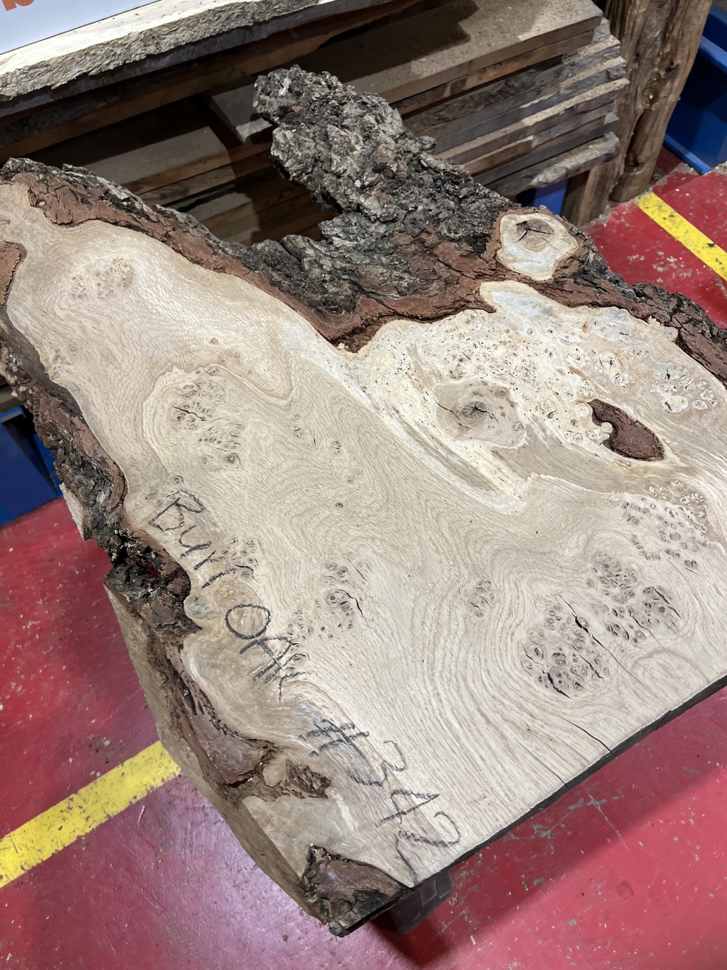 Burr Oak #342