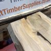 Cedar #218