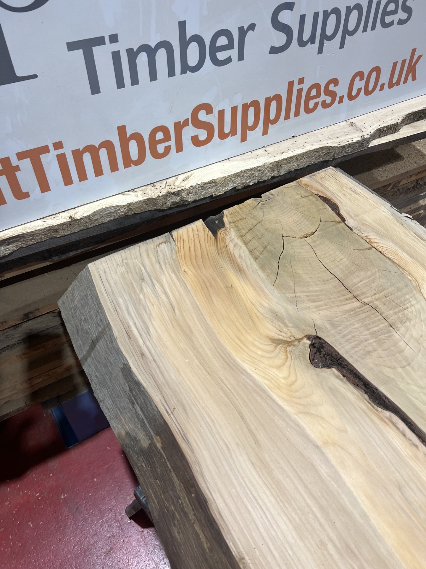 Cedar #218