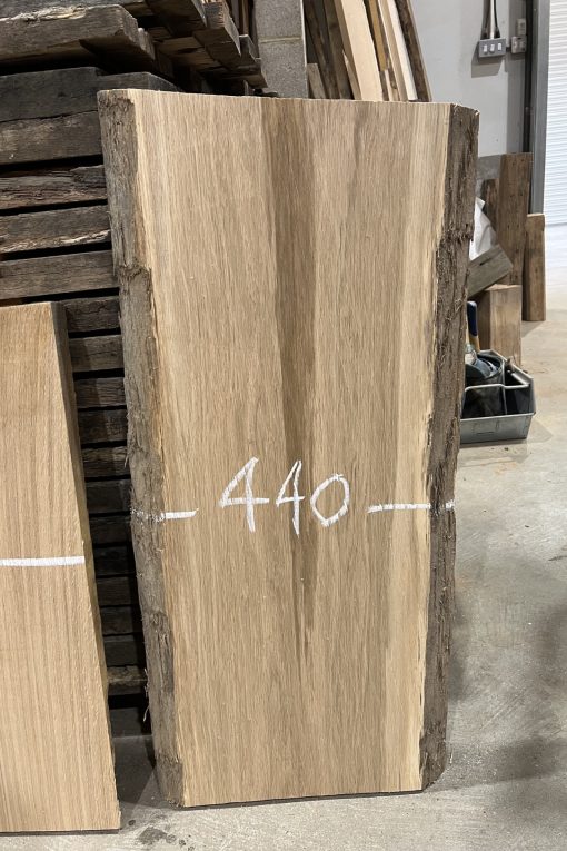 Oak & Elm offcut #4