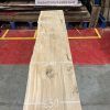 Cedar #213