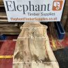 Elm #318