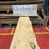 Cedar #217