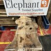 Elm #319