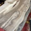 Elm #318
