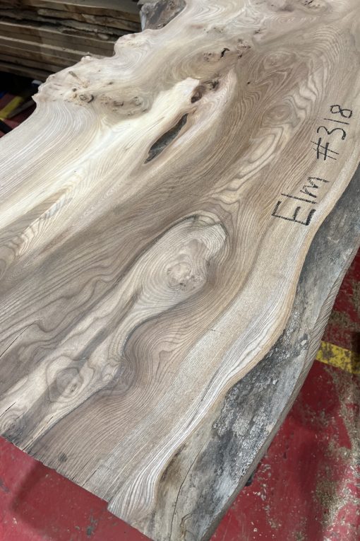Elm #318