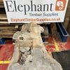 Elm #319