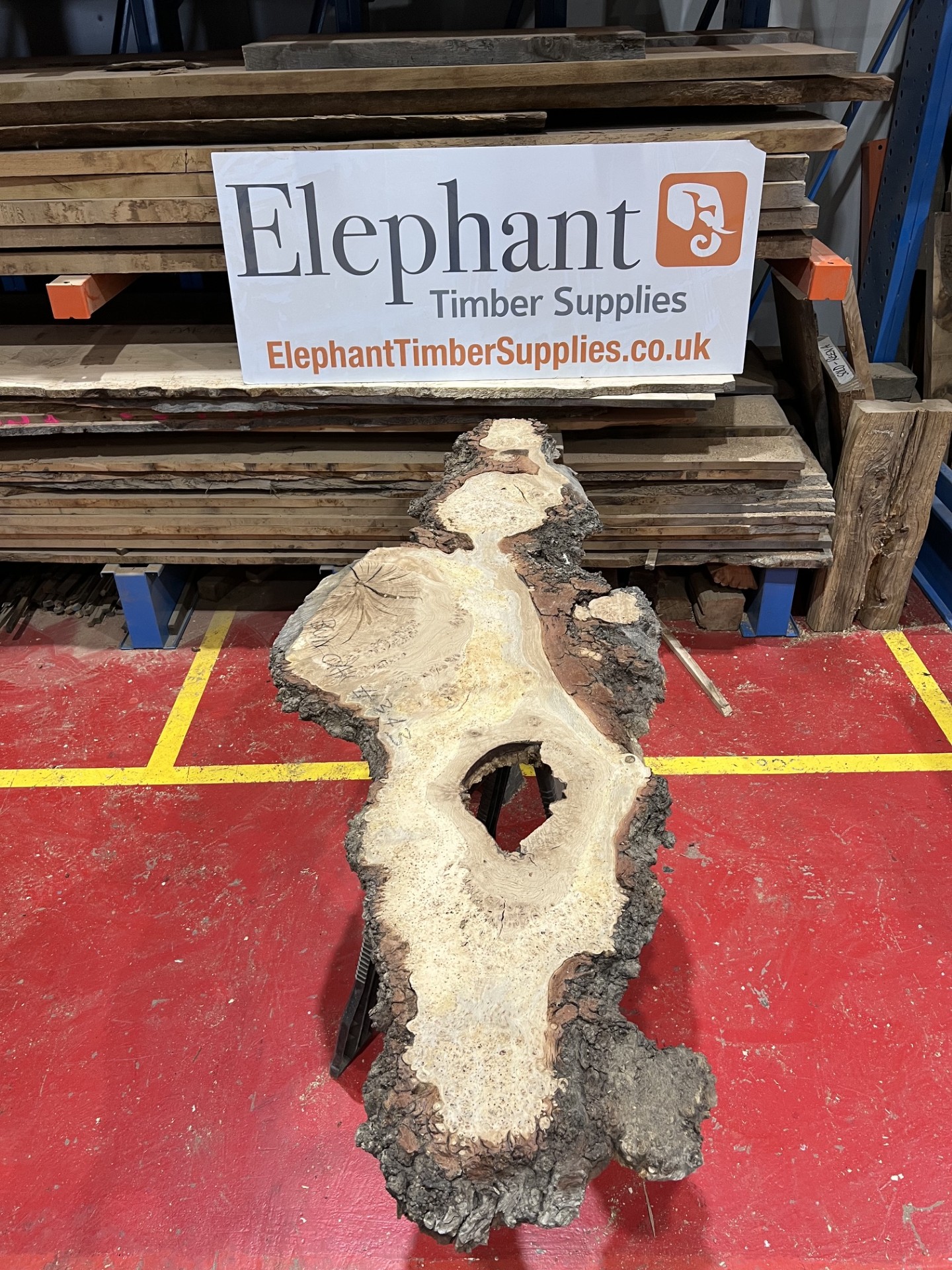 Burr Oak #343
