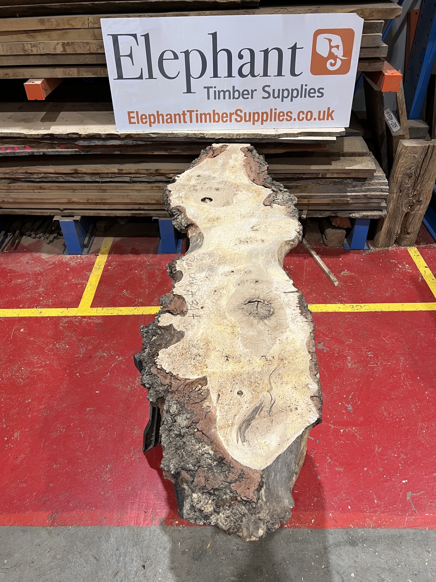 Burr Oak #344