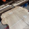 Oak BM Pair 331