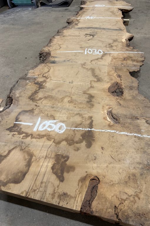 Oak #333
