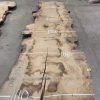 Oak #334