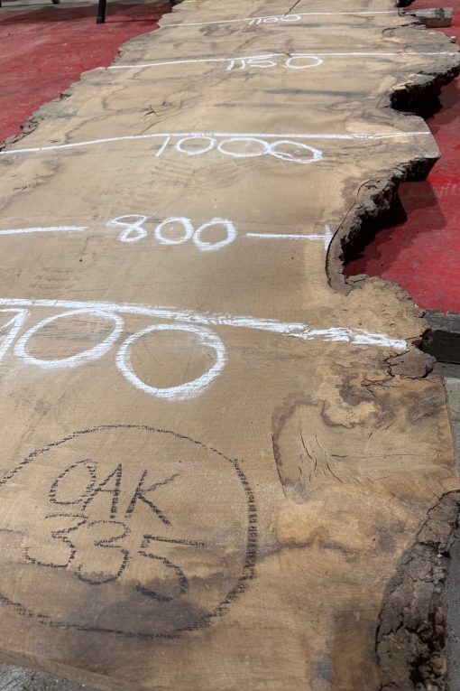 Oak #335