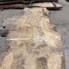 Oak #336
