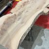 Elm #317
