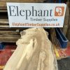 Elm #318
