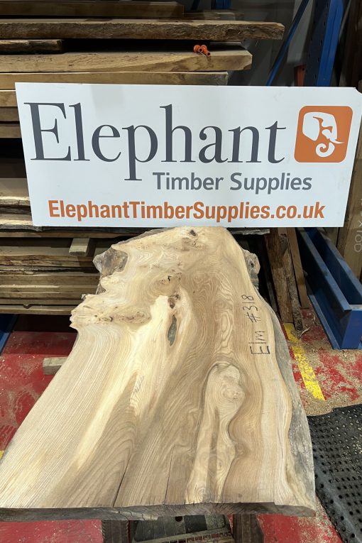 Elm #318