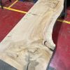 Cedar #215