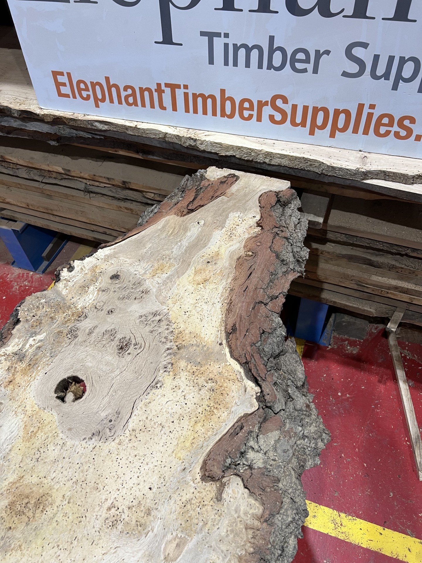 Burr Oak #344