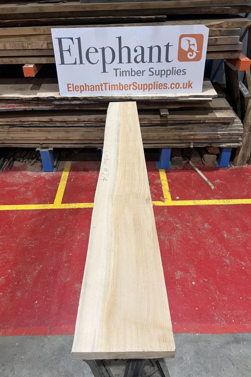 Cedar #214