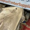 Elm #318